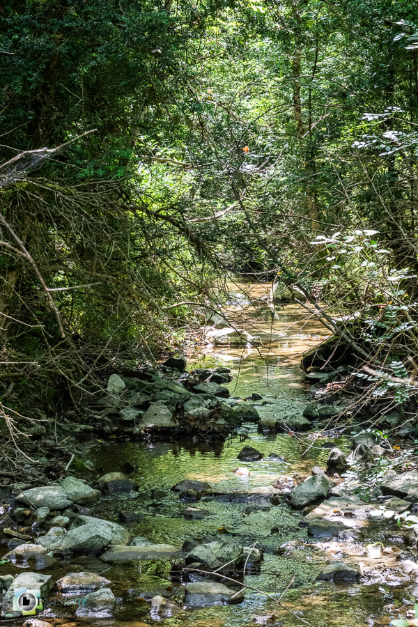 Largue, alpes de haute provence, luberon, revest-des-brousses, rivière__