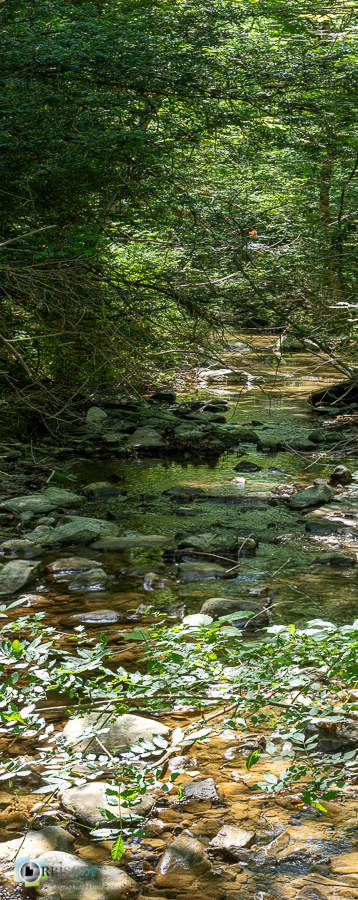 Largue, alpes de haute provence, luberon, revest-des-brousses, rivière__